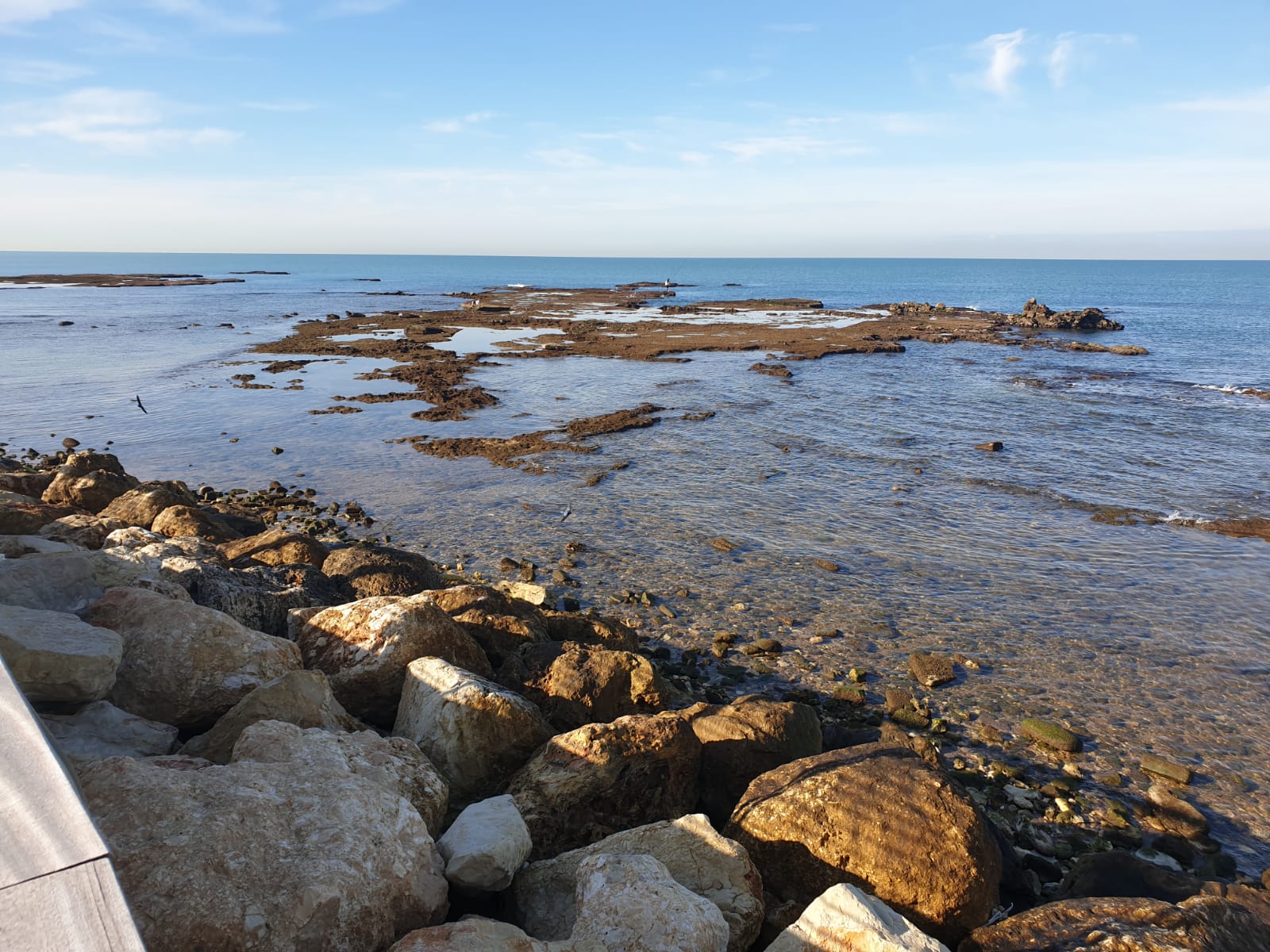 WhatsApp Image 2020-01-27 at 9.00.49 AM (1).jpeg.jpeg